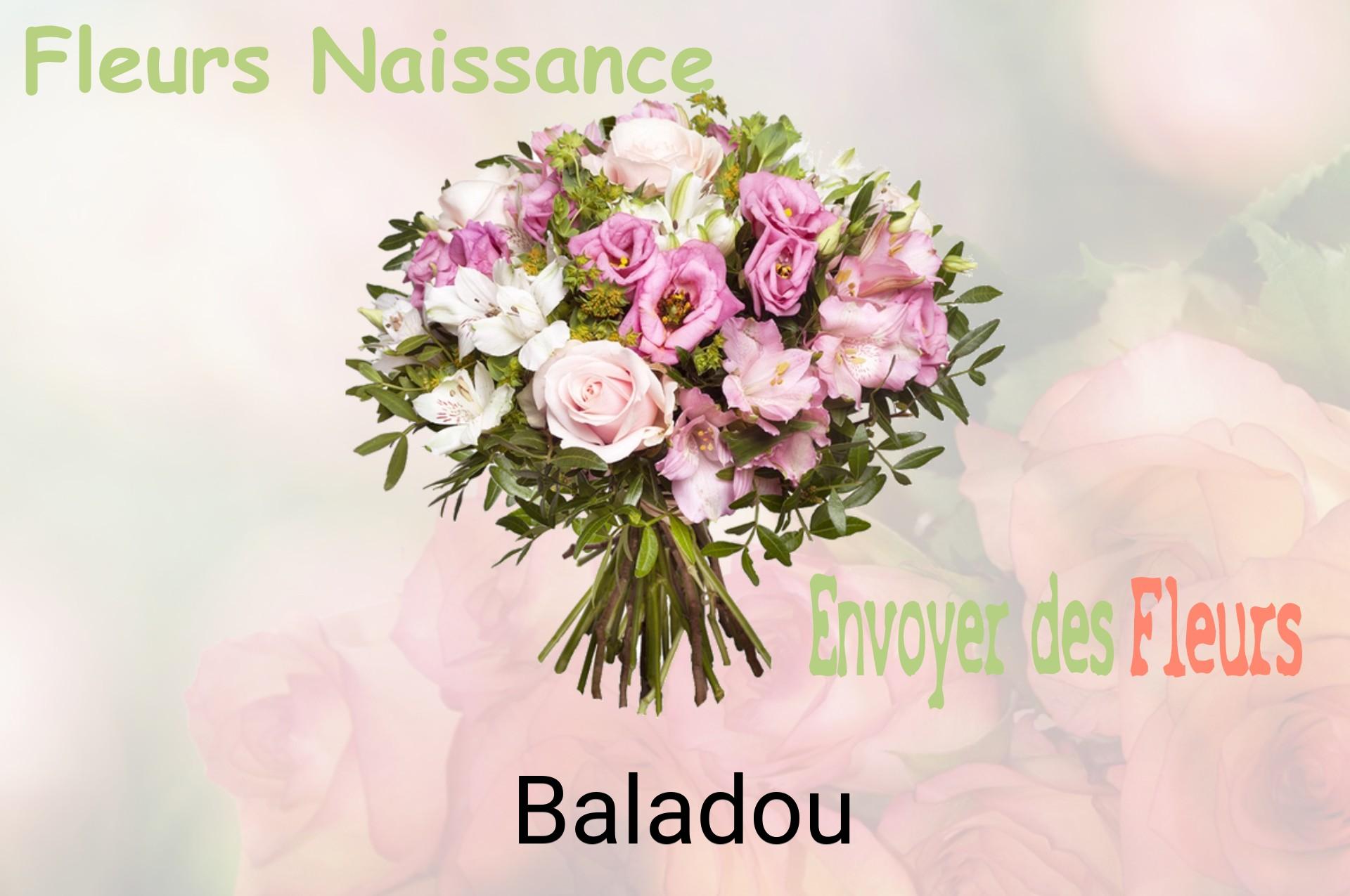 Bouquet de fleurs de naissance livré à Baladou